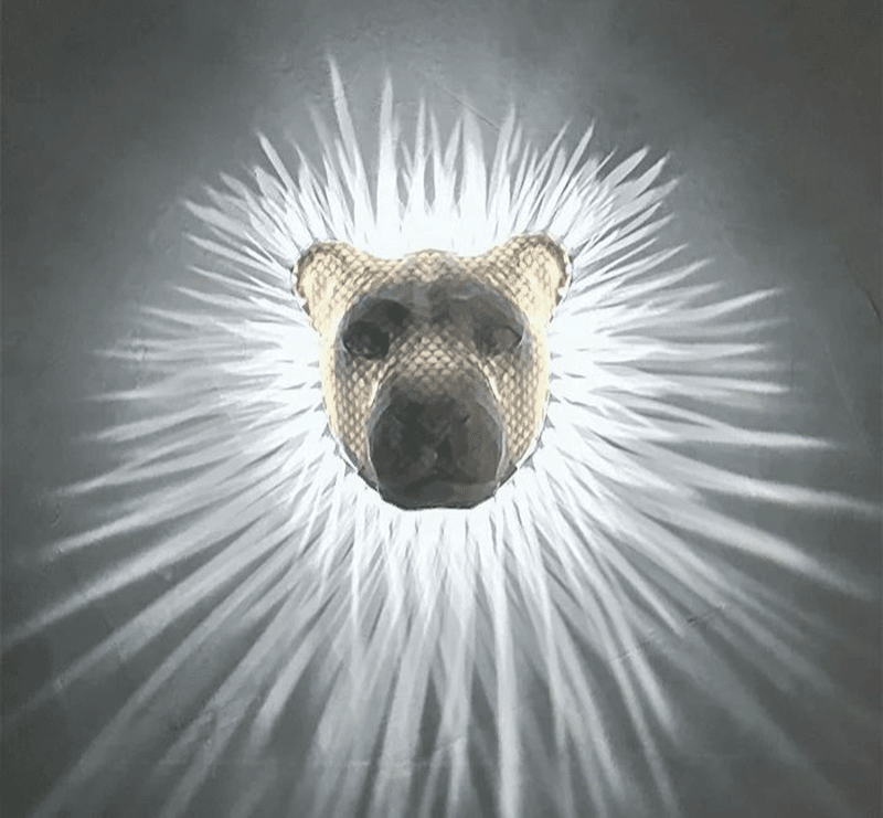 3D Animals LED Wall Light | Bald Eagle & Night Owl & Lion Head - Lovitzo