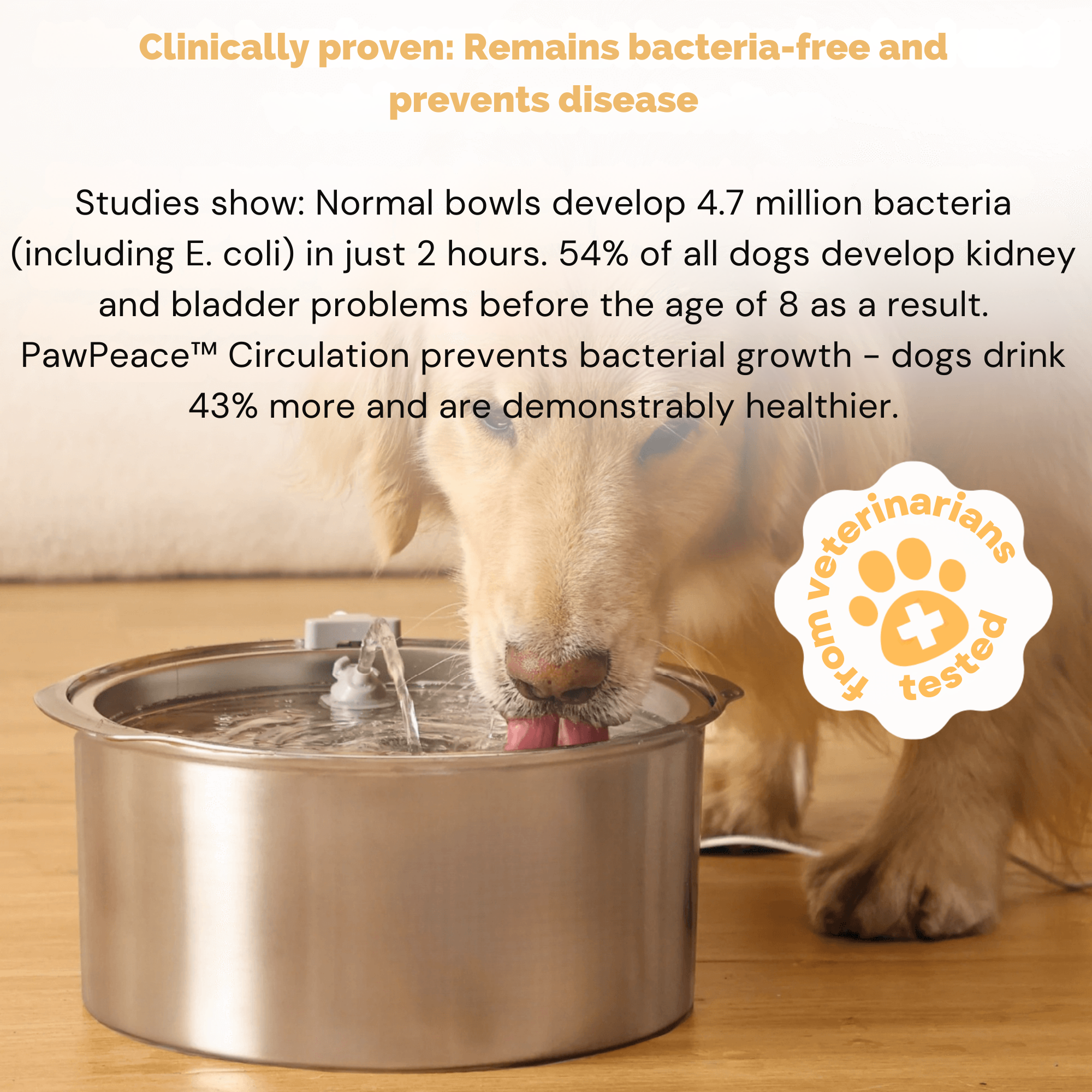 FreshFountain™ / Antibacterial Drinking Fountain with Filtration