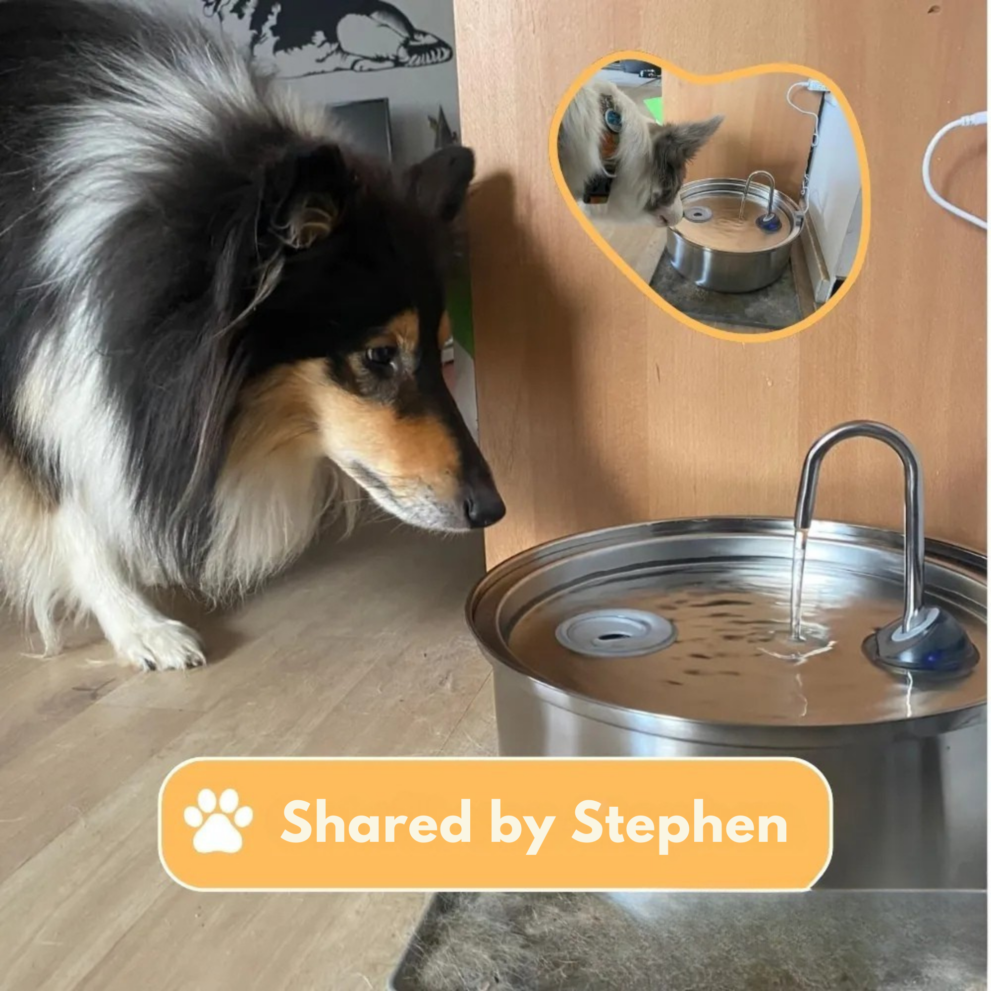 FreshFountain™ / Antibacterial Drinking Fountain with Filtration