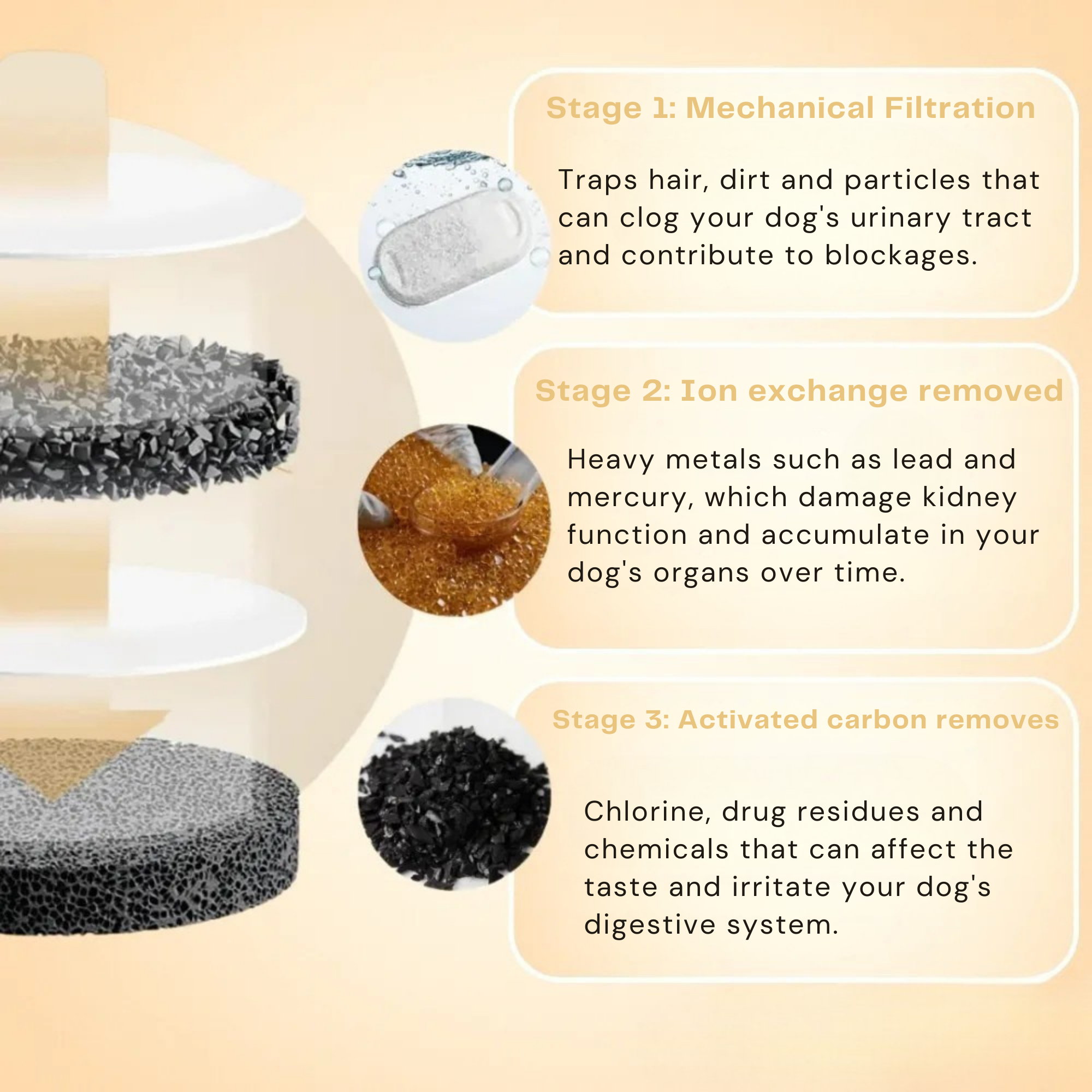 FreshFountain™ / Antibacterial Drinking Fountain with Filtration