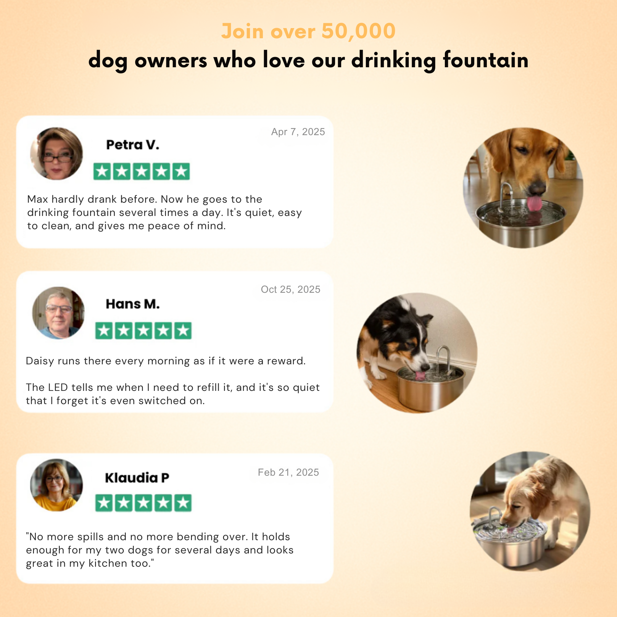 FreshFountain™ / Antibacterial Drinking Fountain with Filtration