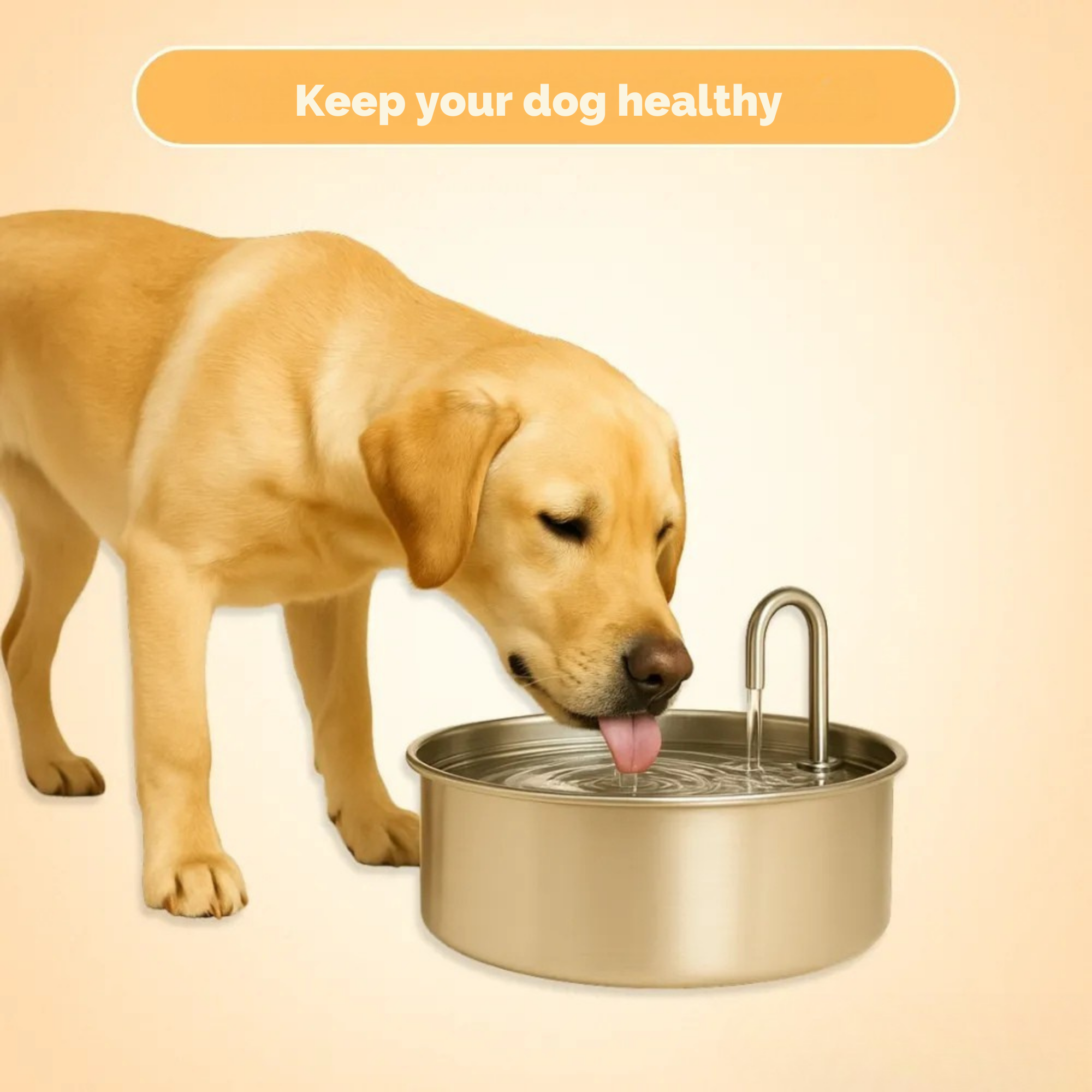 FreshFountain™ / Antibacterial Drinking Fountain with Filtration