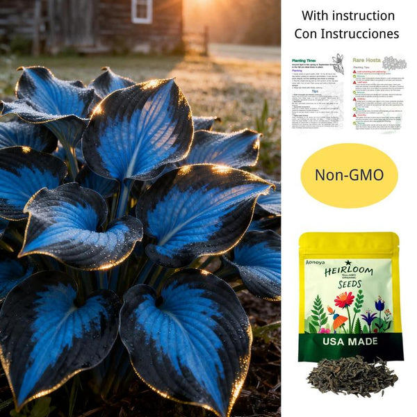 BloomBreeze™ / Mehrjährige Hosta-Samen für beruhigende grüne Ecken