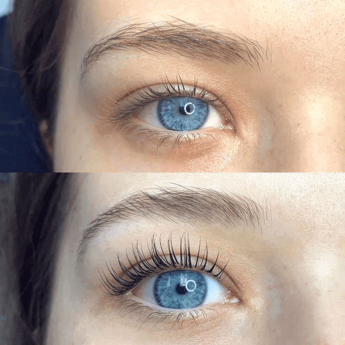 ElevéLash – Salon Results in Seconds, Without the Salon - Lovitzo