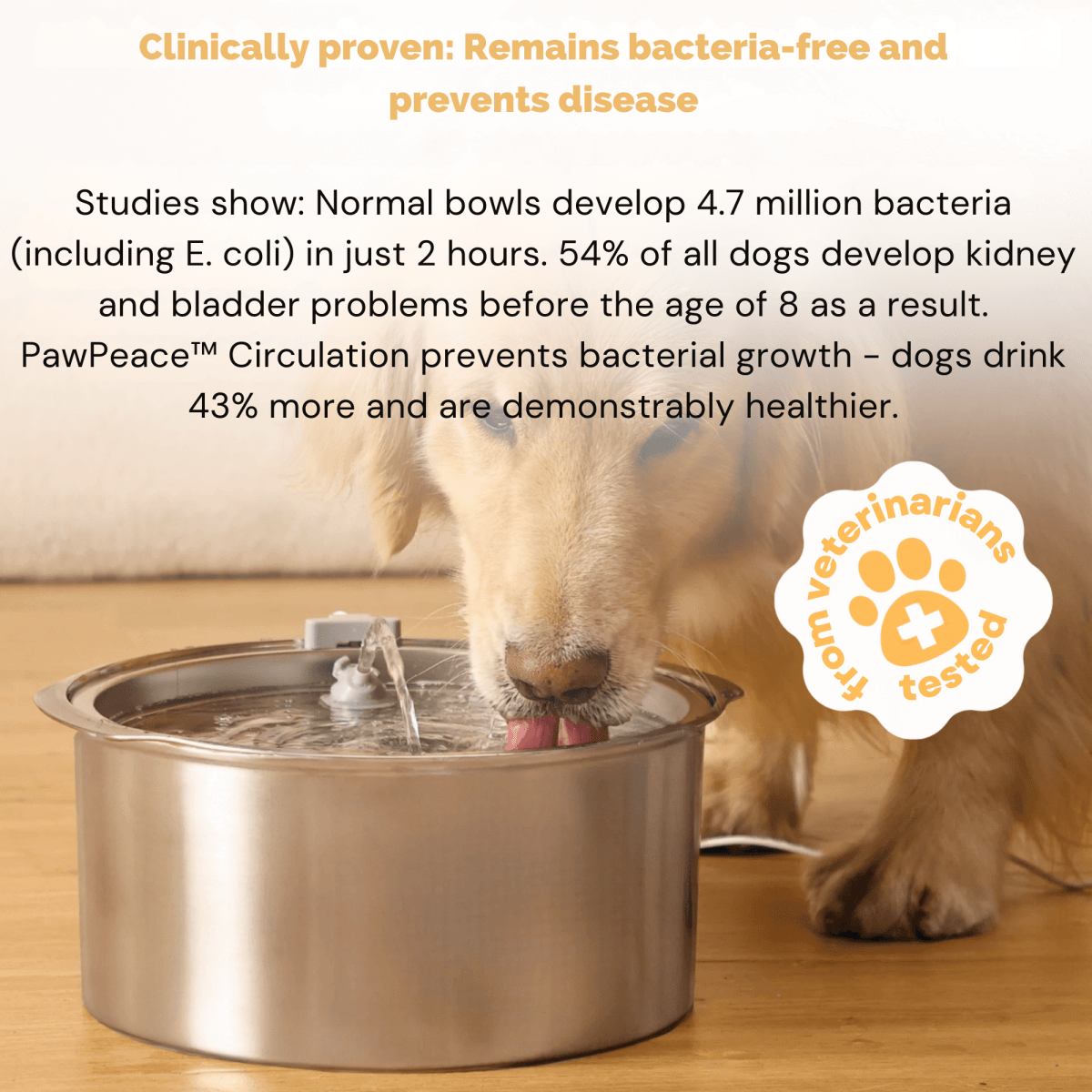 FreshFountain™ / Antibacterial Drinking Fountain with Filtration - Lovitzo