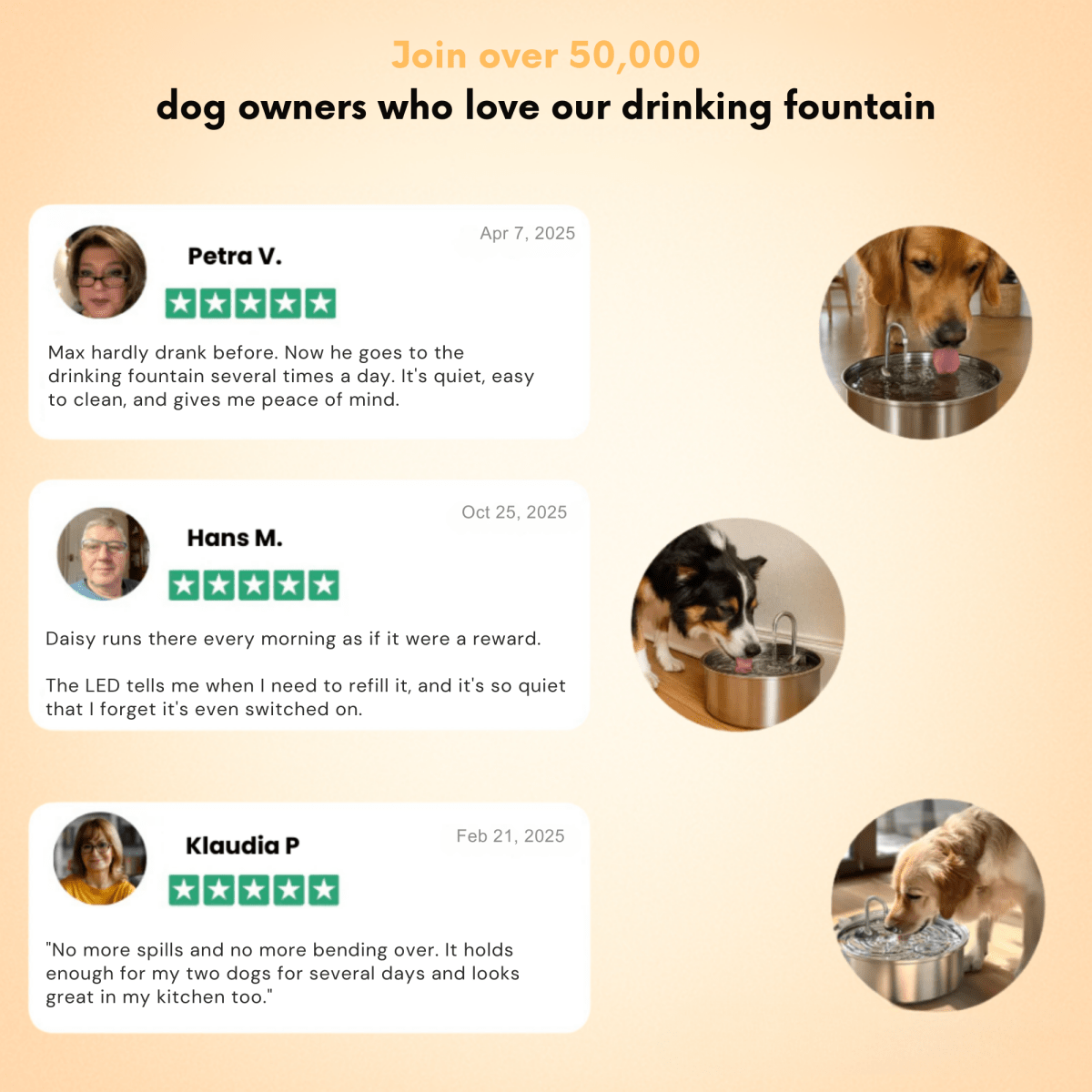 FreshFountain™ / Antibacterial Drinking Fountain with Filtration - Lovitzo
