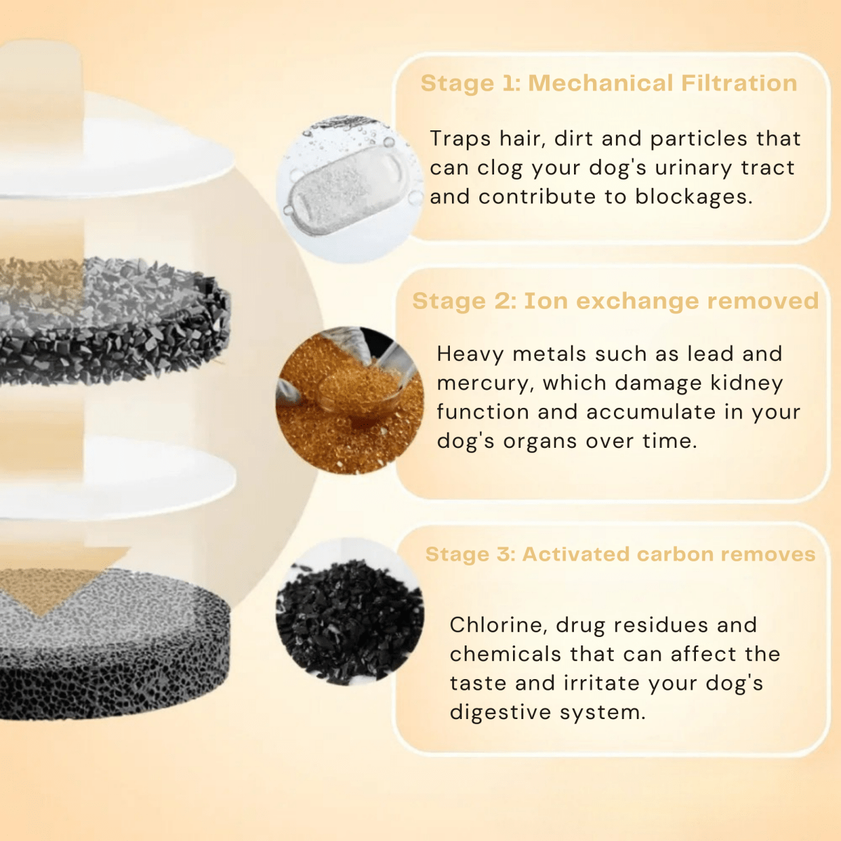 FreshFountain™ / Antibacterial Drinking Fountain with Filtration - Lovitzo