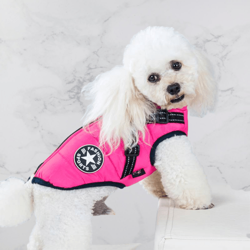 K9Shield – The 3 - in - 1 Dog Jacket - Lovitzo