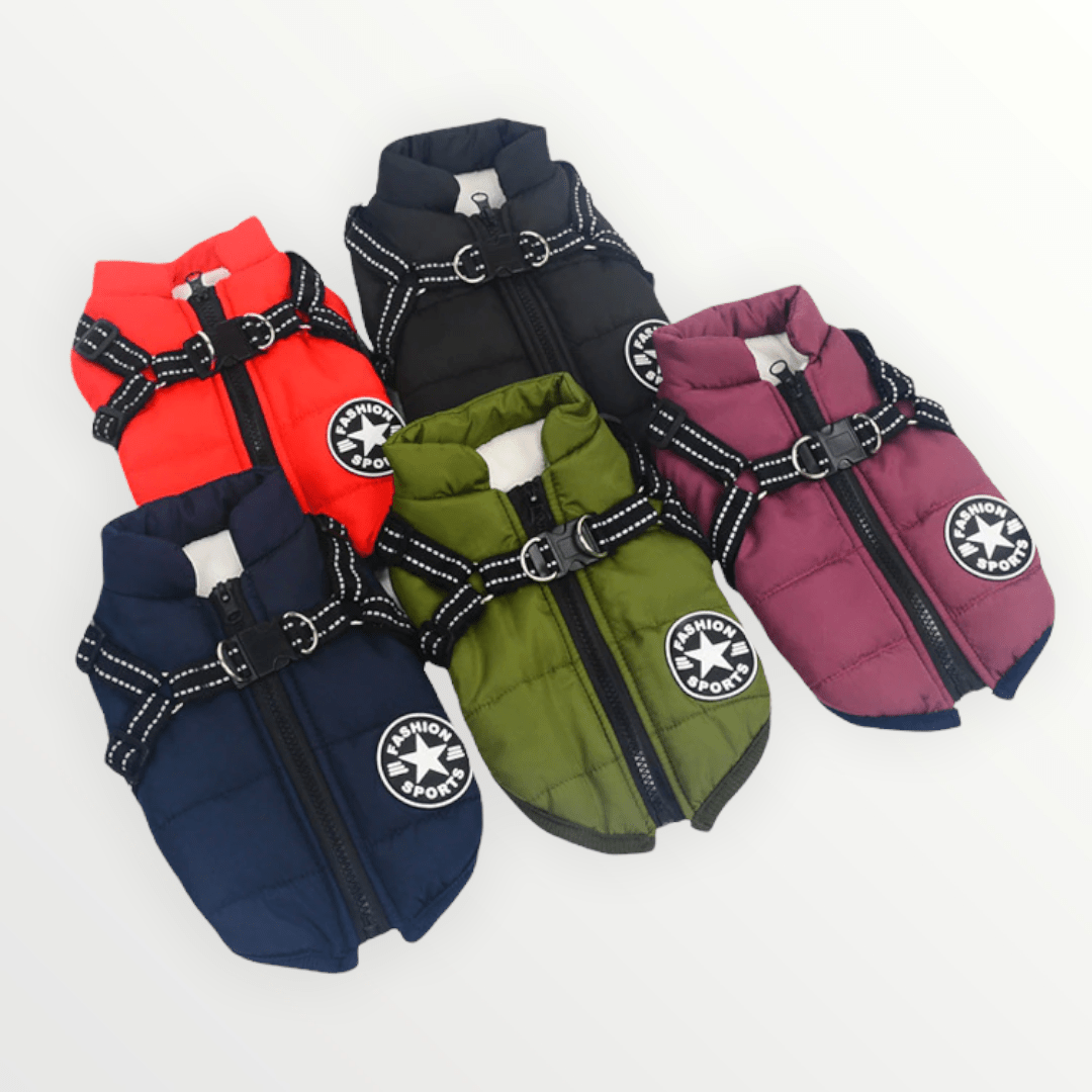 K9Shield – The 3 - in - 1 Dog Jacket - Lovitzo