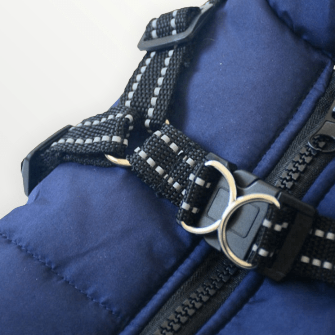 K9Shield – The 3 - in - 1 Dog Jacket - Lovitzo