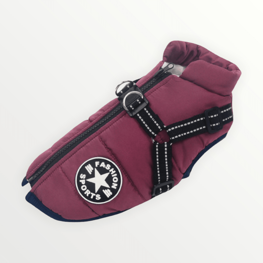K9Shield – The 3 - in - 1 Dog Jacket - Lovitzo