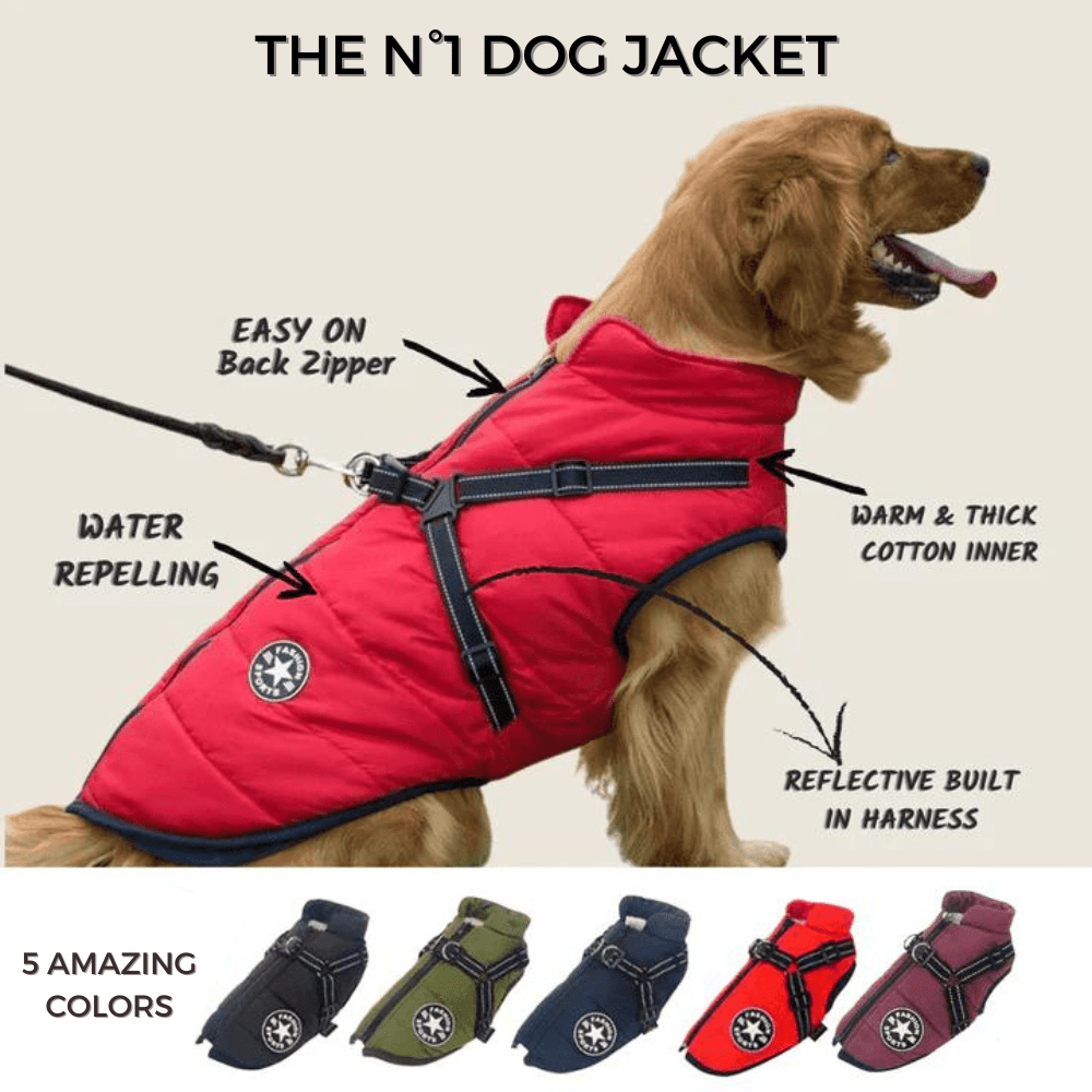 K9Shield – The 3 - in - 1 Dog Jacket - Lovitzo