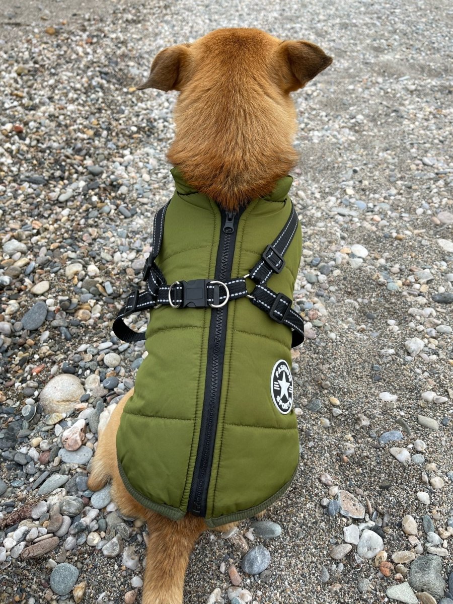 K9Shield – The 3 - in - 1 Dog Jacket - Lovitzo