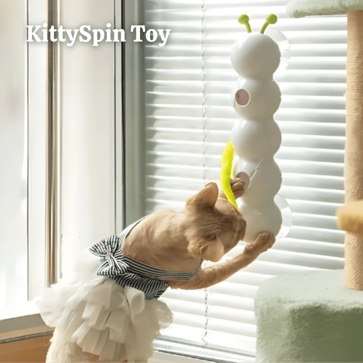 KittySpin Toy – Turn Boredom Into Pure Hunting Fun - Lovitzo