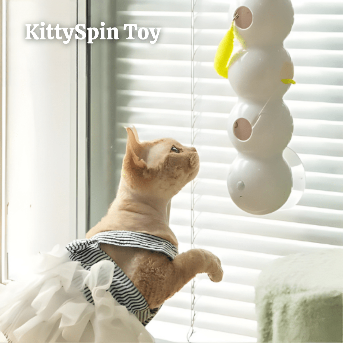 KittySpin Toy – Turn Boredom Into Pure Hunting Fun - Lovitzo