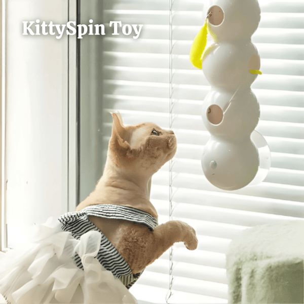 KittySpin Toy – Turn Boredom Into Pure Hunting Fun