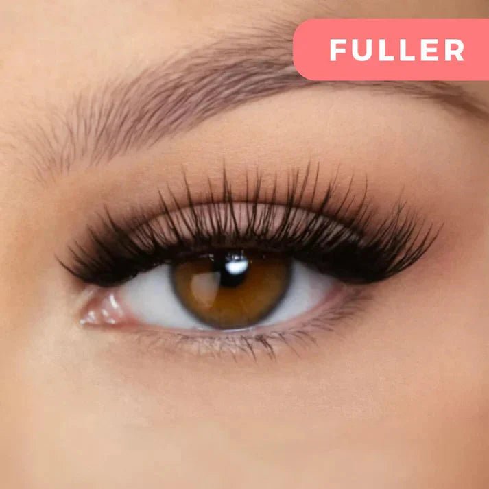LovLash Magnetic Kit - Lovitzo