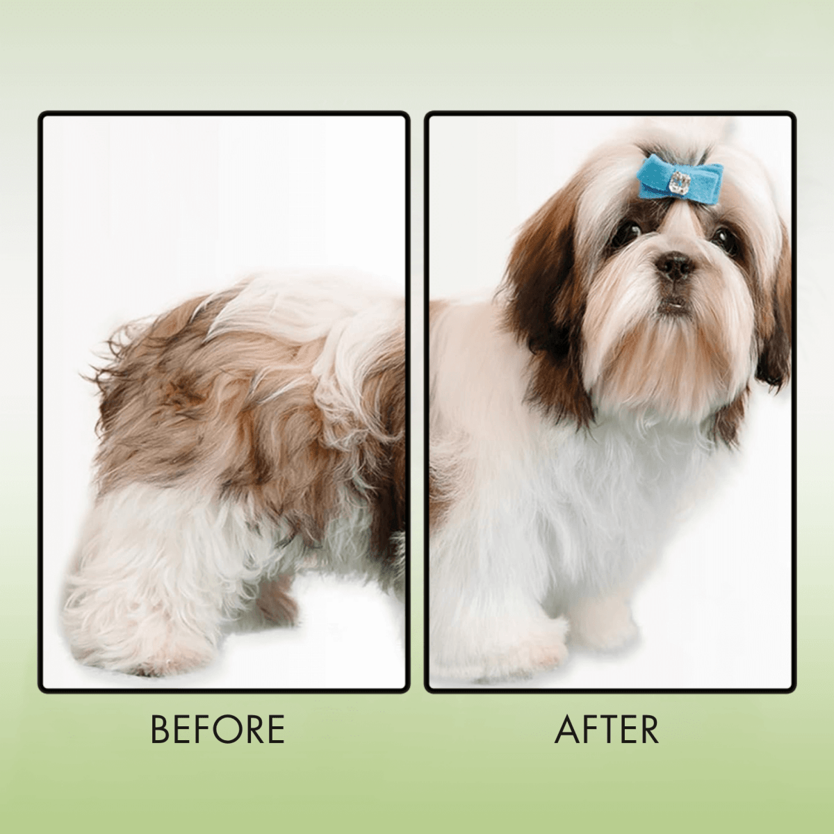 PawBrush – Spray Grooming Brush - Lovitzo