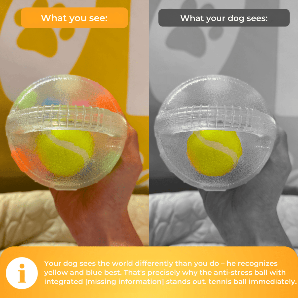 PawPeace™ / Anti - Stress - Ball - Lovitzo