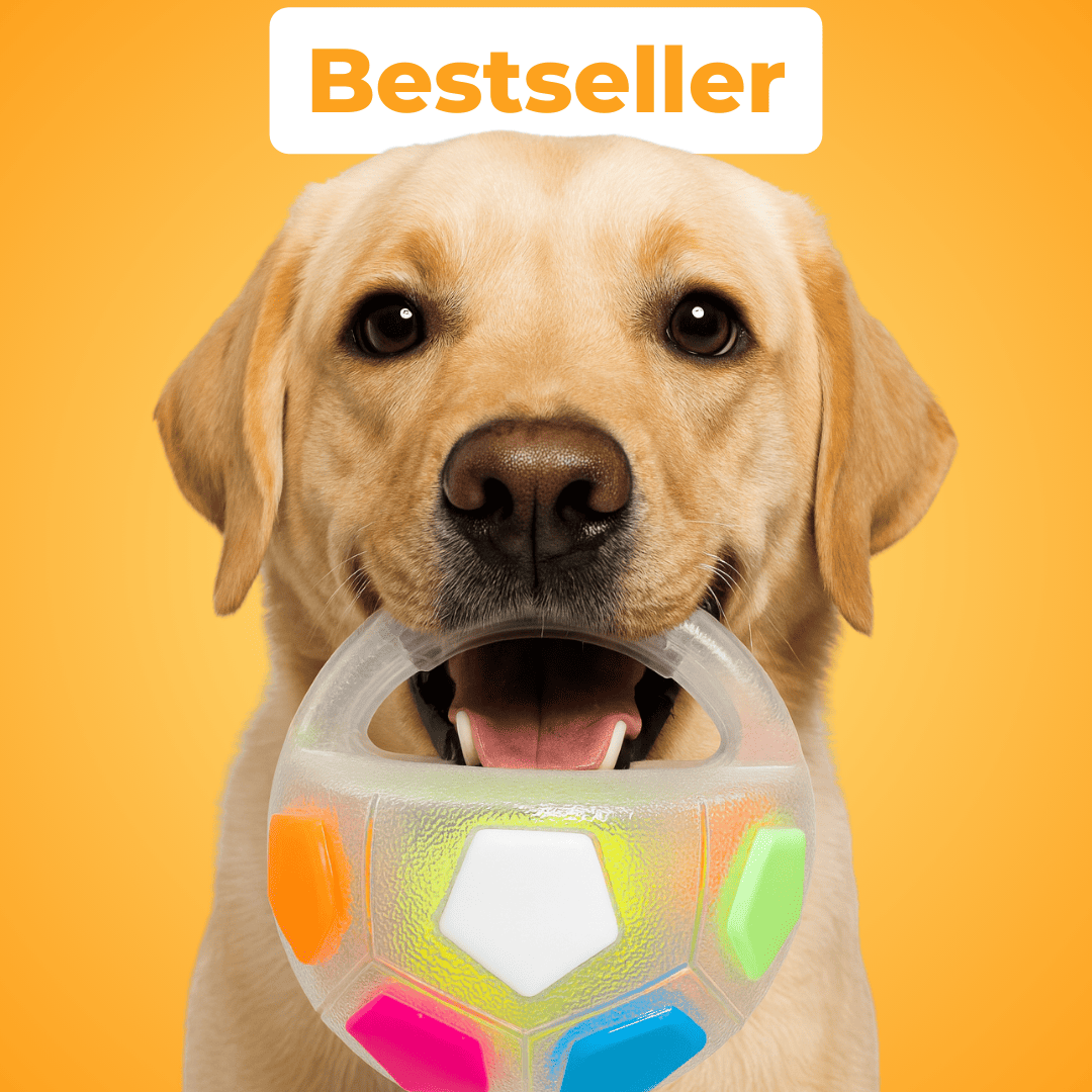 PawPeace™ / Anti - Stress - Ball - Lovitzo