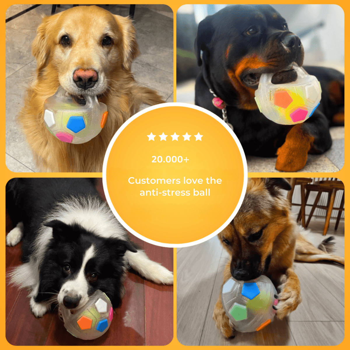 PawPeace™ / Anti - Stress - Ball - Lovitzo