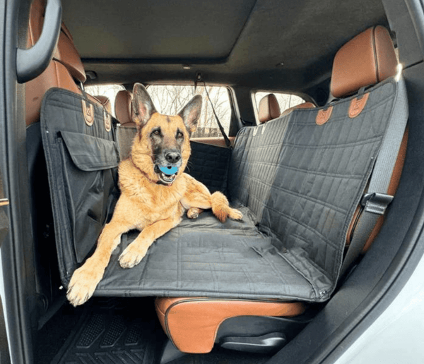 PawShield – Waterdichte hondenautozitbeschermer