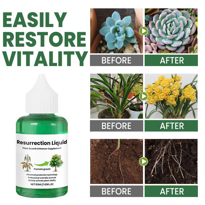 Plantix – Revive Your Plants with Resurrection Liquid! (Buy 1, Get 1 for FREE) - Lovitzo