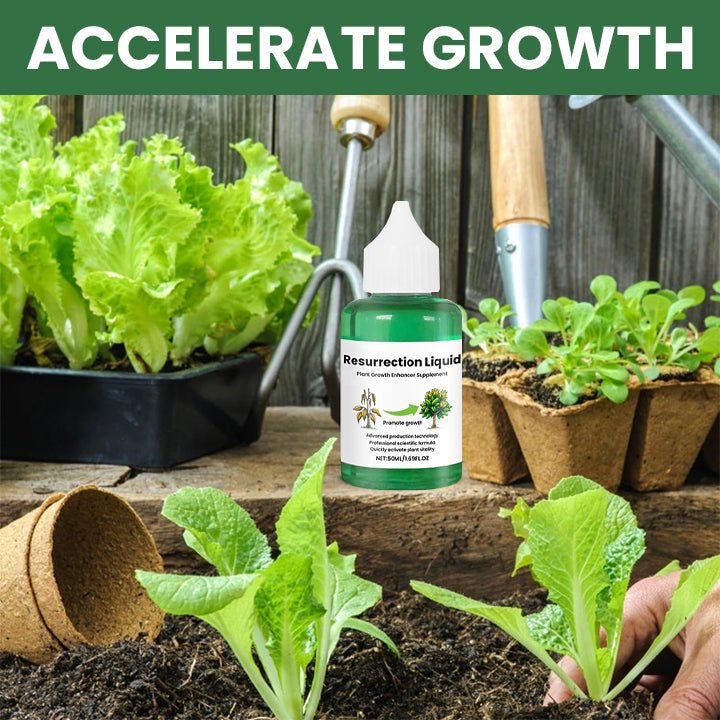Plantix – Revive Your Plants with Resurrection Liquid! (Buy 1, Get 1 for FREE) - Lovitzo