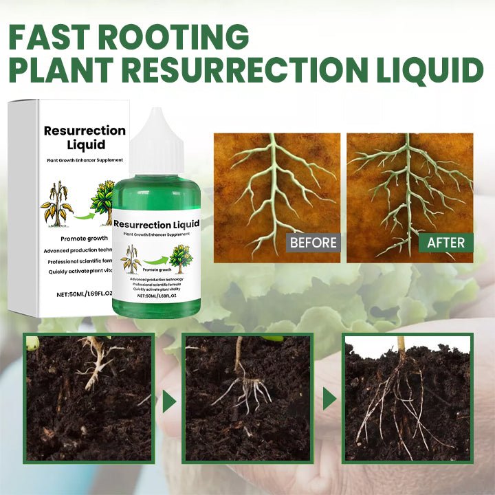 Plantix – Revive Your Plants with Resurrection Liquid! (Buy 1, Get 1 for FREE) - Lovitzo