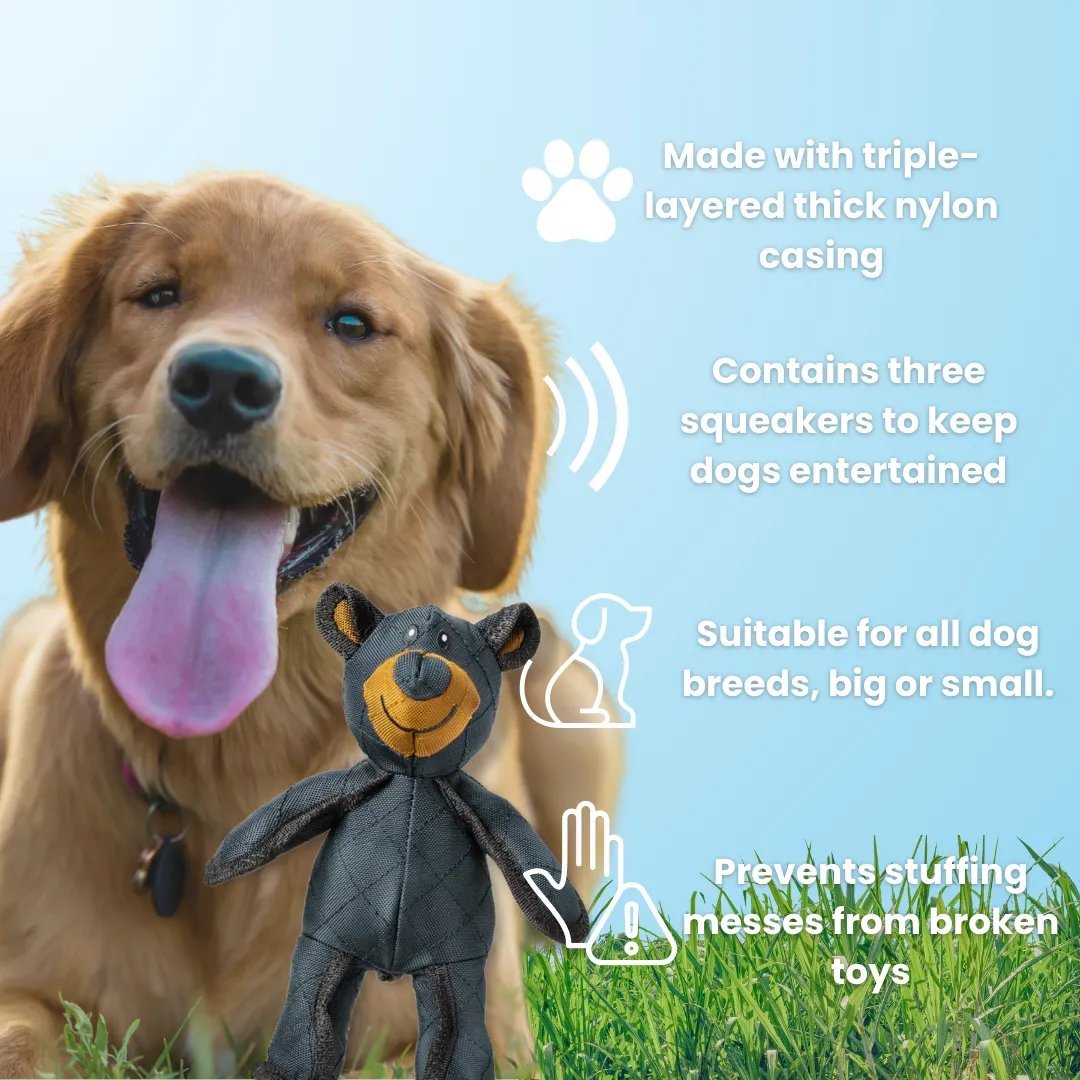 ToughBear – Durable Chew Toy for Aggressive Chewers - Lovitzo