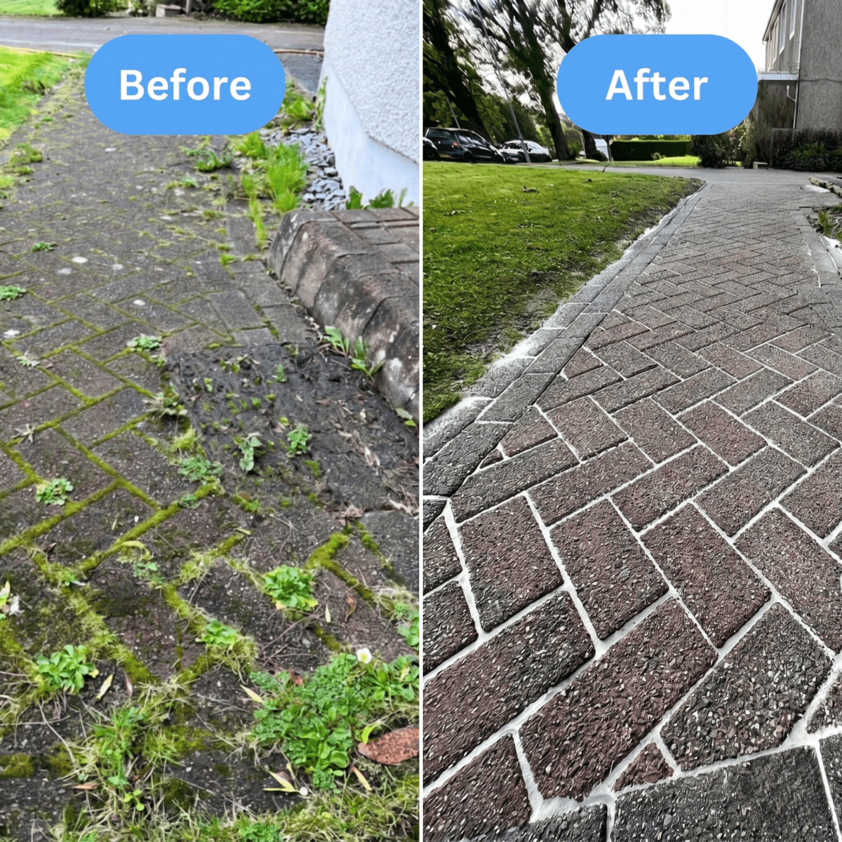 Weedix | Weed Remover - Lovitzo